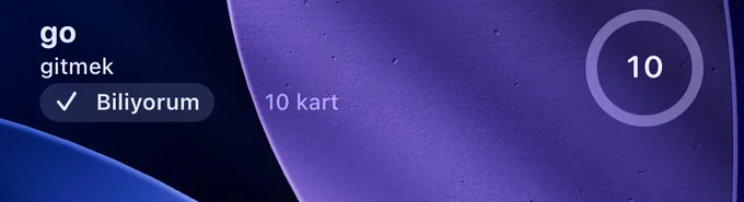 The Next word widget enlarged: go, gitmek (to go), a Biliyorum (I know it) button and 10 cards.